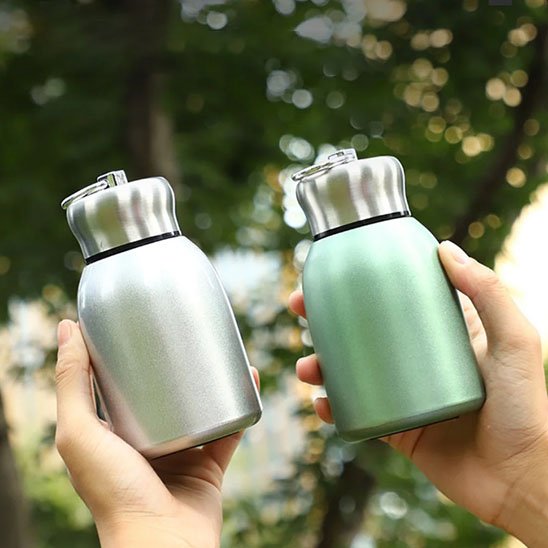 Bouteille isotherme couleur argent ou vert