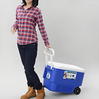 Femme tire glaciere sur roues avec poignée intégrée