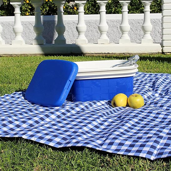 Glaciere bleue ouverte sur nappe pique-nique